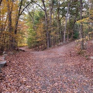 Meet your Posher, Iliana